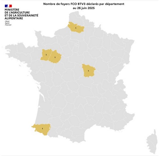 FCO3 260625