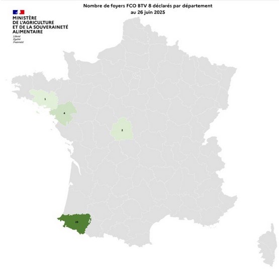 FCO8 260625