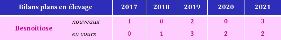 Bilan BES 2021