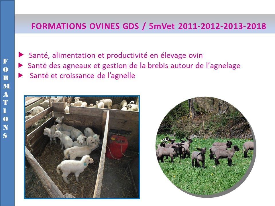 Diapo formations ovines