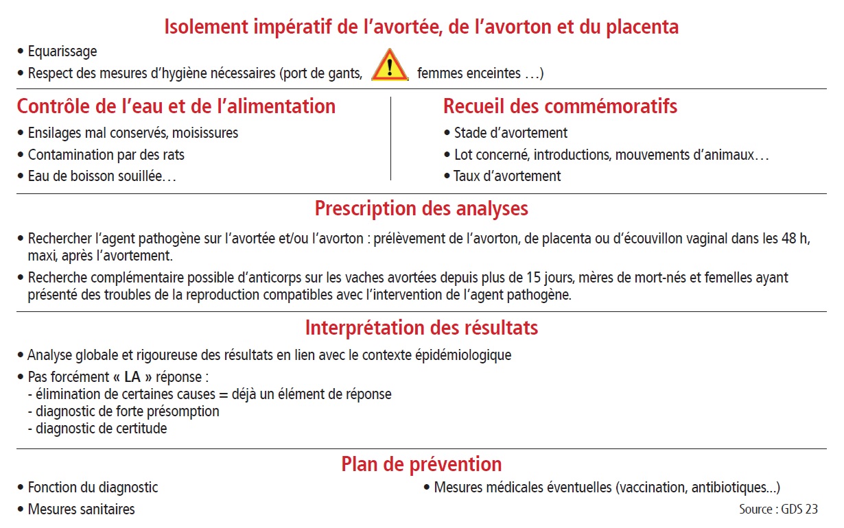 pack avortement 