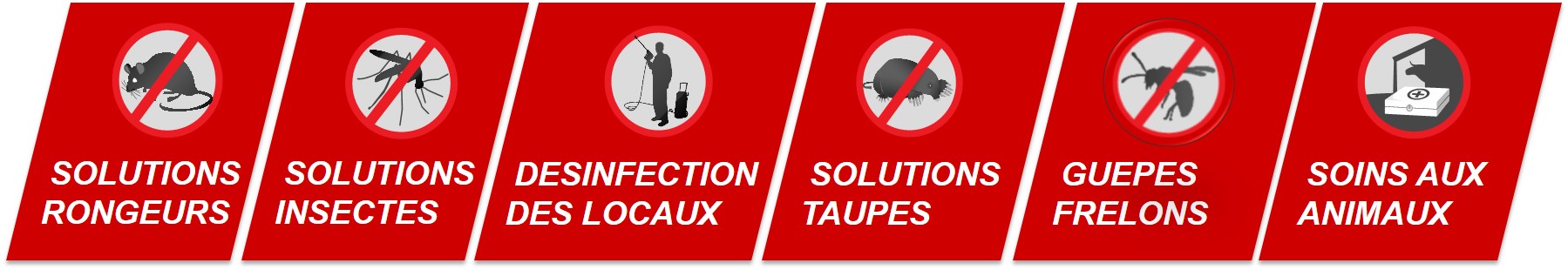 Actions filiale