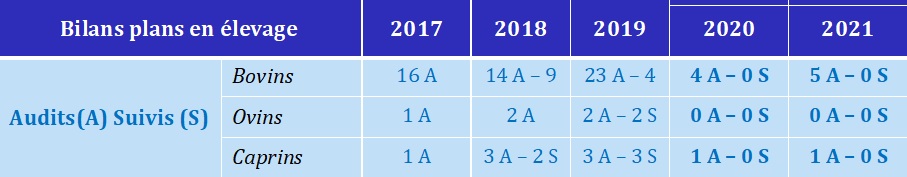 Bilan audit 2021